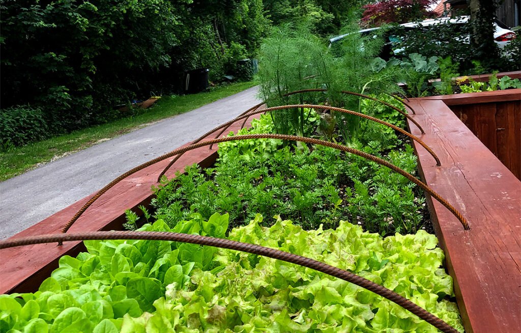 Beispiel Bepflanzung