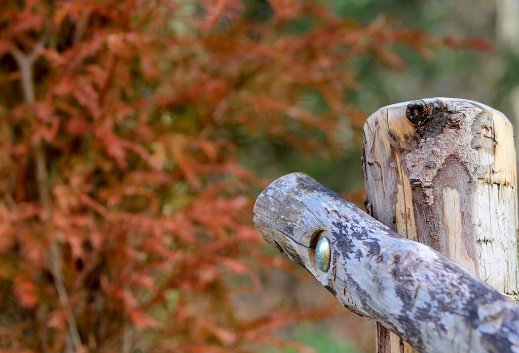 Beispiel Landschaftsbau
